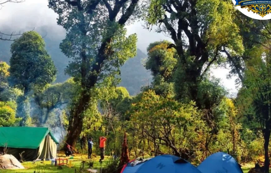 Barsey Rhododendron Trek