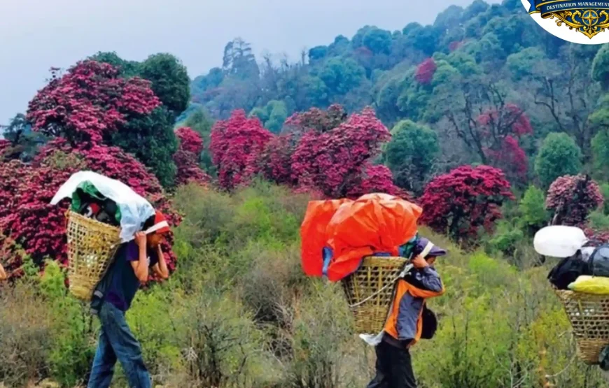 Barsey Rhododendron Trek