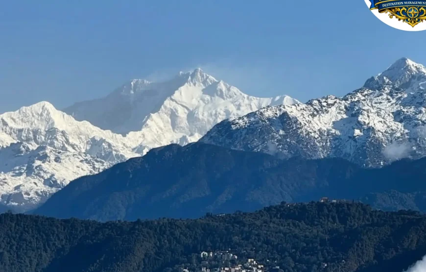 Barsey Rhododendron Trek