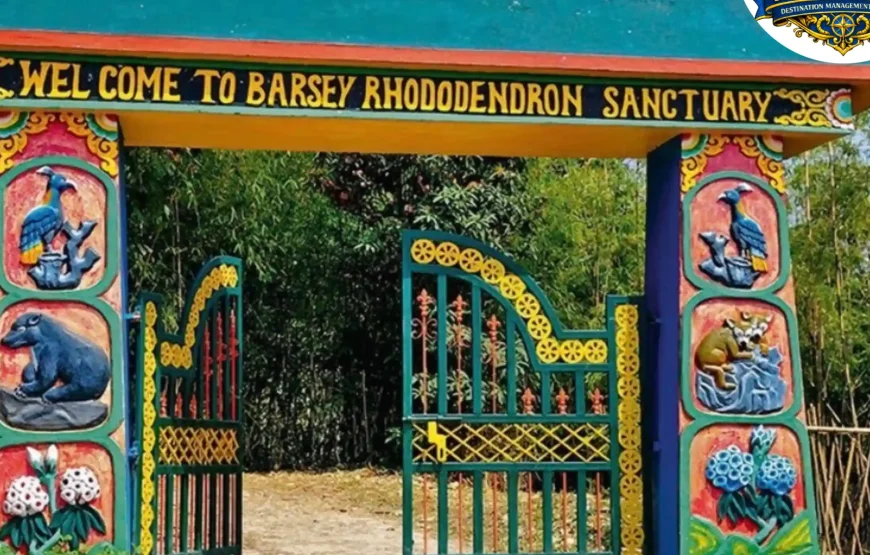 Barsey Rhododendron Trek
