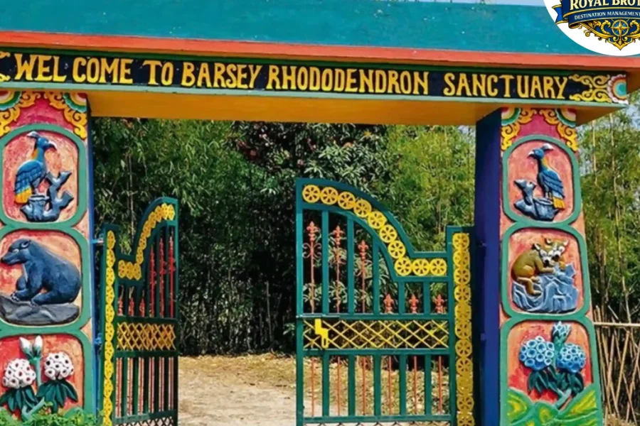 Barsey Rhododendron Trek