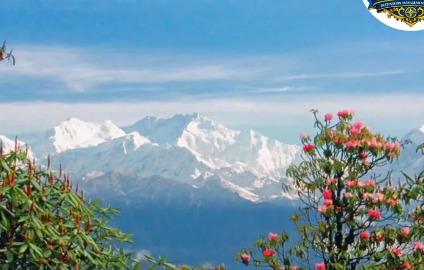 Barsey Rhododendron Trek