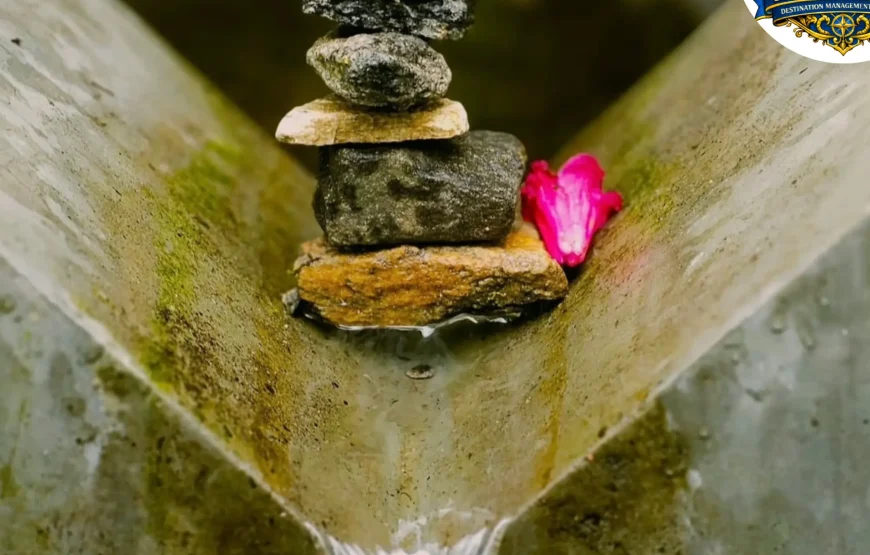 Barsey Rhododendron Trek