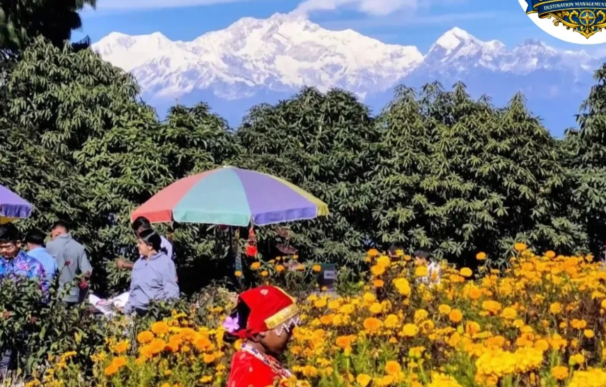 Best of Sikkim & Darjeeling Tour (7 Nights / 8 Days)