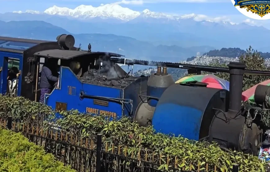 Best of Sikkim & Darjeeling Tour (7 Nights / 8 Days)