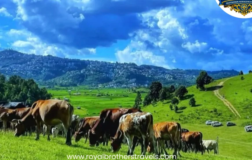 Best of Mizoram Tour (4 Nights / 5 Days)