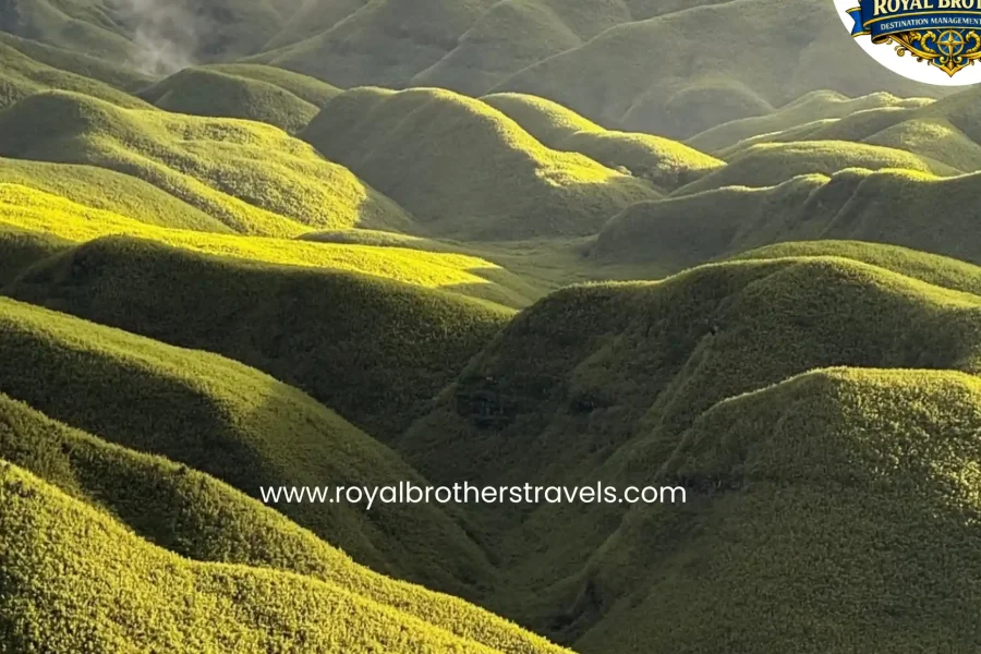 Best of Nagaland (6 Nights / 7 Days)