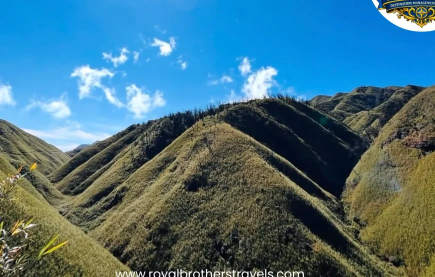 Best of Nagaland (6 Nights / 7 Days)