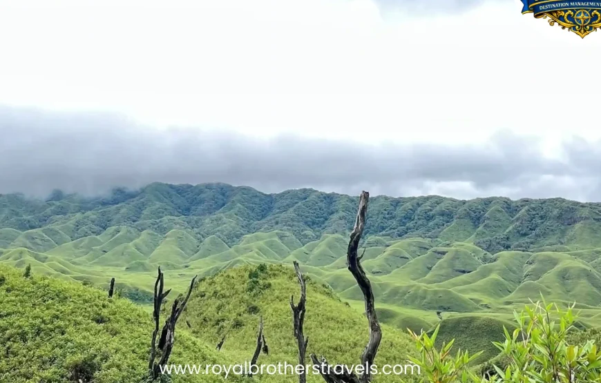 Best of Nagaland (6 Nights / 7 Days)