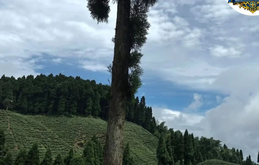 Best of Darjeeling Tour (2 Nights / 3 Days)