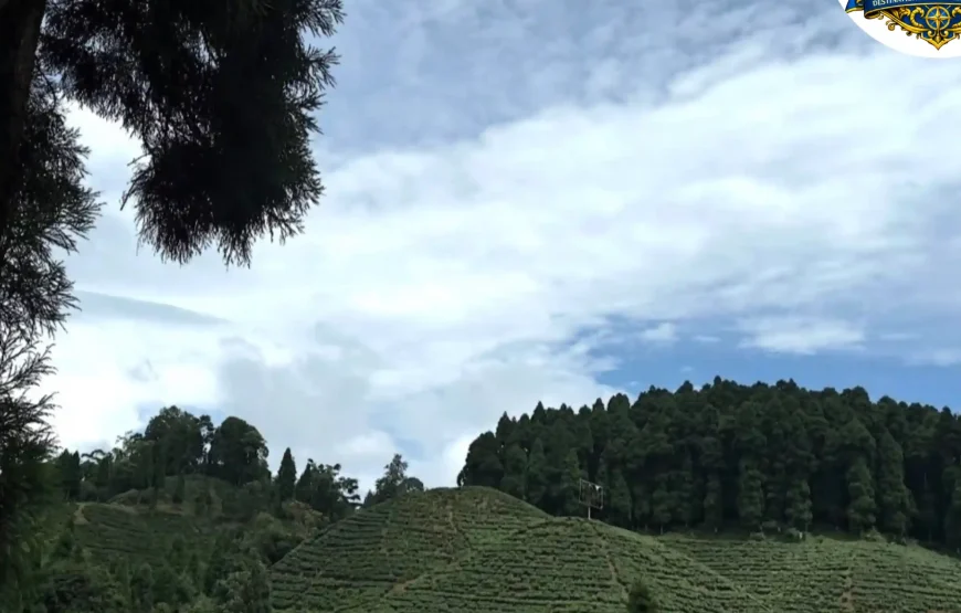 Best of Darjeeling Tour (2 Nights / 3 Days)