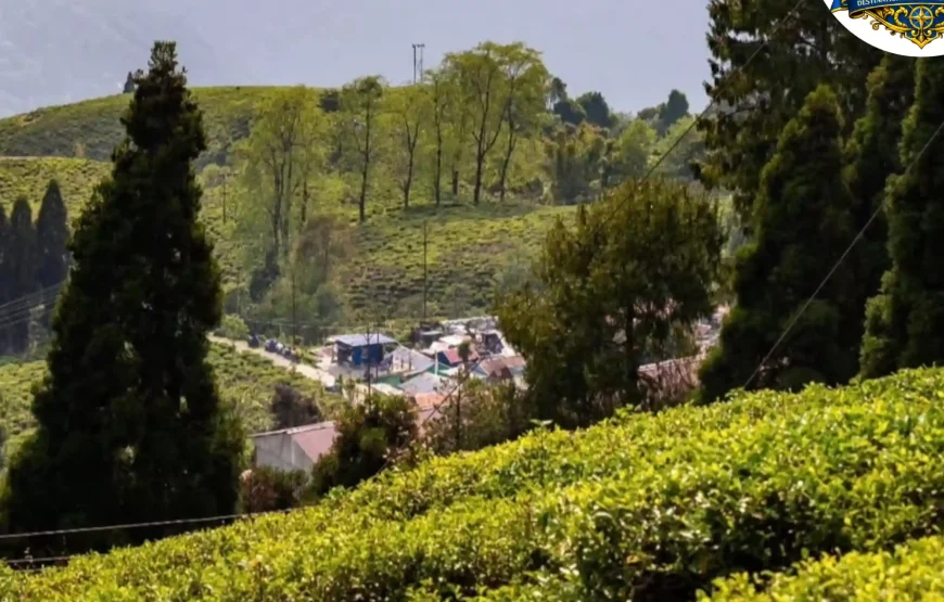 Best of Darjeeling Tour (2 Nights / 3 Days)