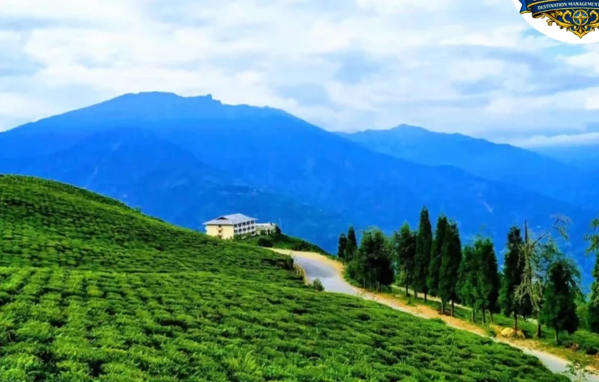 Best of Darjeeling Tour (2 Nights / 3 Days)