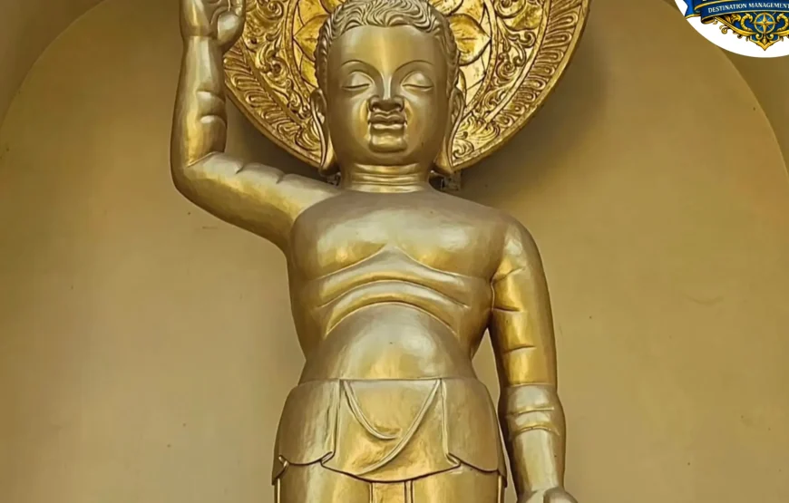 Best of Darjeeling Tour (2 Nights / 3 Days)