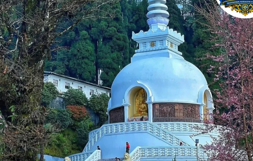 Best of Sikkim & Darjeeling Tour (7 Nights / 8 Days)