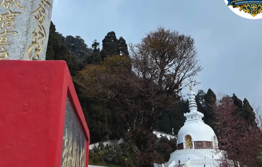 Best of Darjeeling Tour (2 Nights / 3 Days)