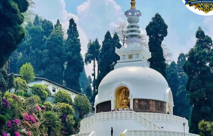 Best of Darjeeling Tour (2 Nights / 3 Days)