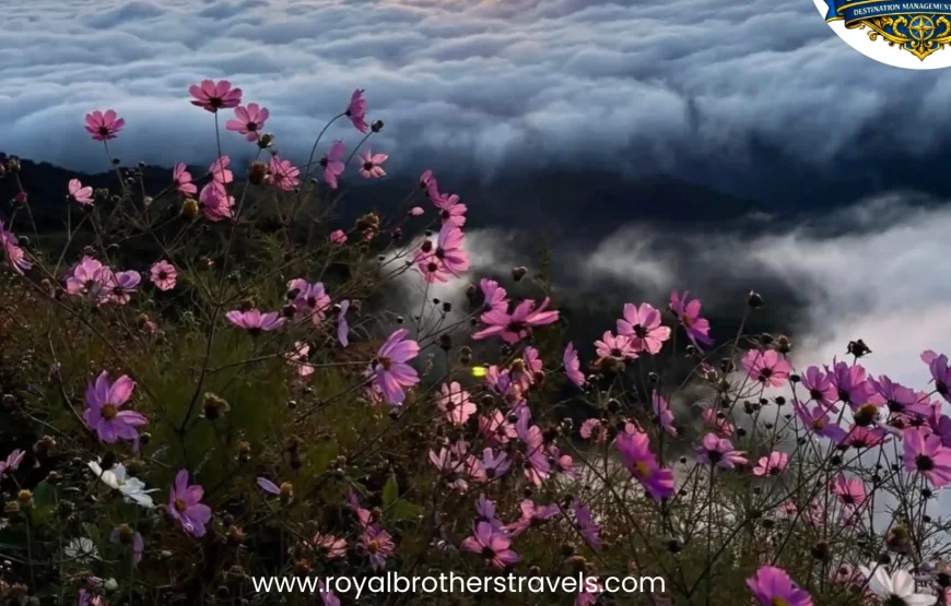 Best of Nagaland (6 Nights / 7 Days)