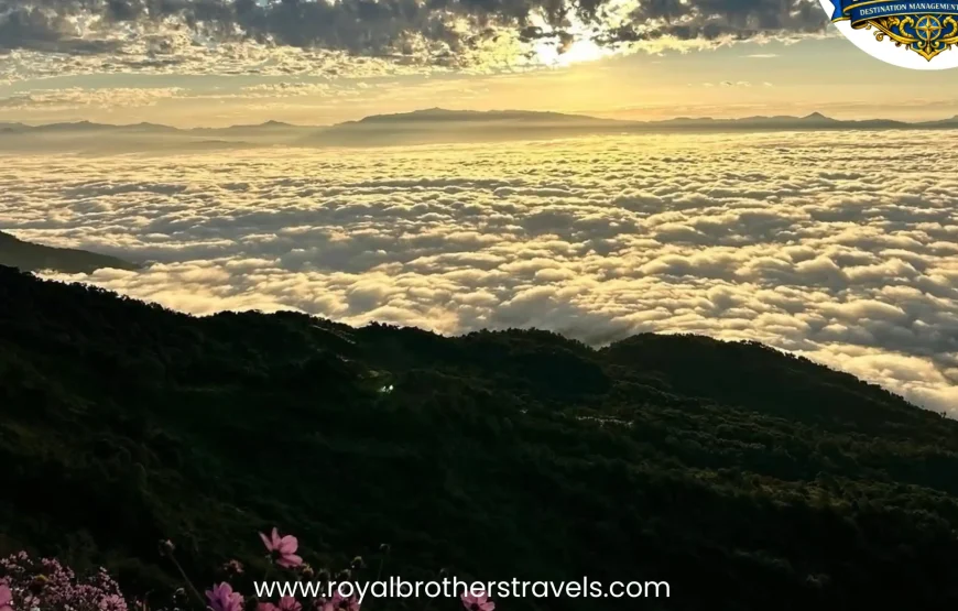 Best of Nagaland (6 Nights / 7 Days)