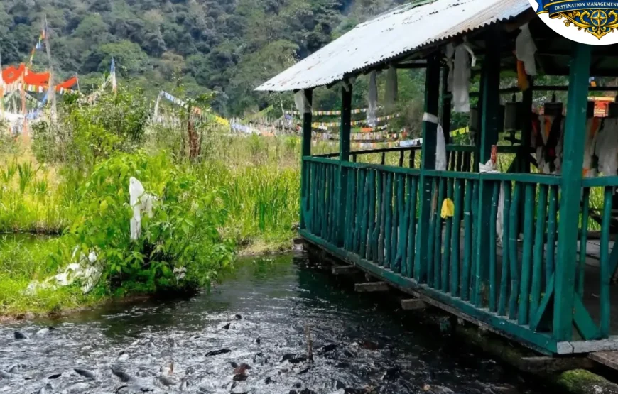 Best of Sikkim & Darjeeling Tour (7 Nights / 8 Days)