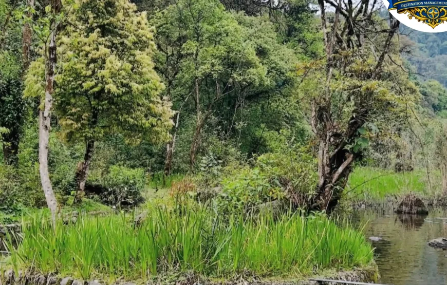 Best of Pelling -Sikkim Tour (2N/3D)