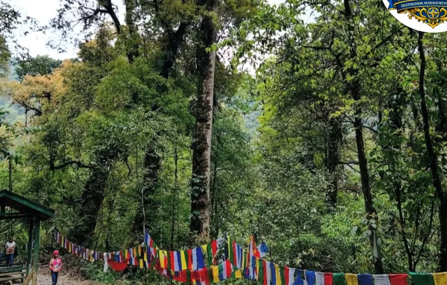 Best of Pelling -Sikkim Tour (2N/3D)