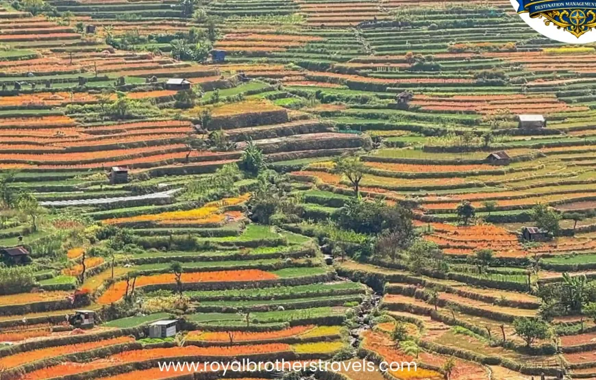 Best of Nagaland (6 Nights / 7 Days)