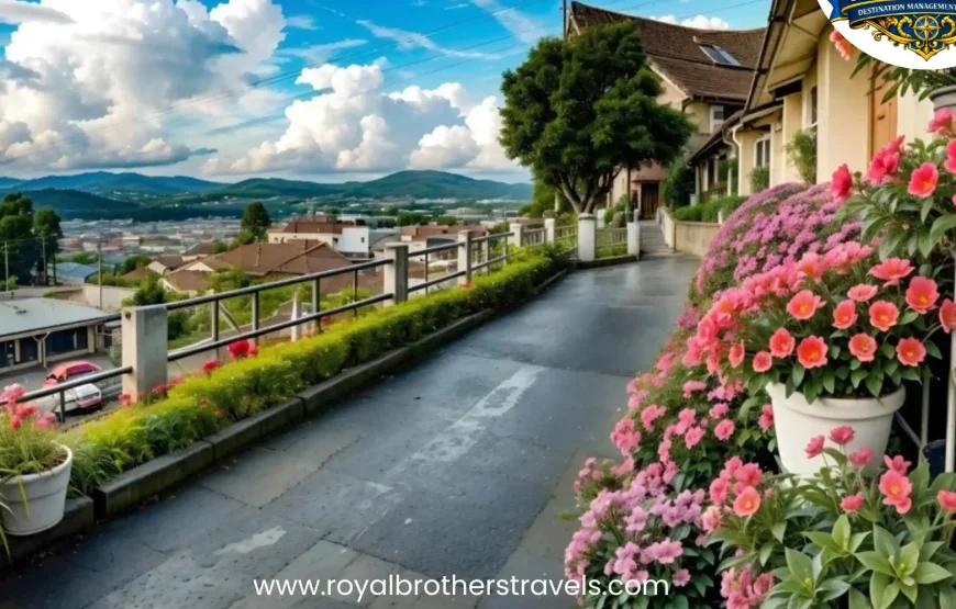 Best of Nagaland (6 Nights / 7 Days)