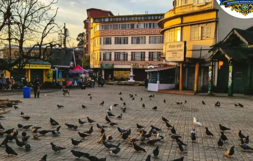 Best of Sikkim & Darjeeling Tour (7 Nights / 8 Days)