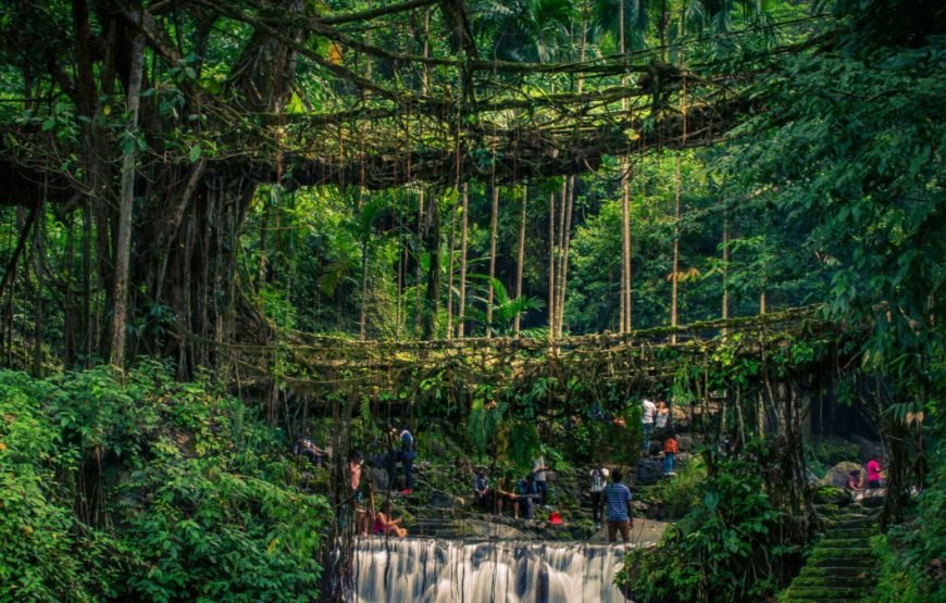 Best of Assam & Meghalaya Tour (10 Nights / 11 Days)