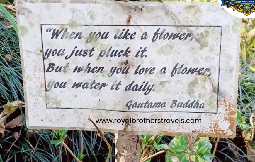 Best of Gangtok – Sikkim (3N / 4D)