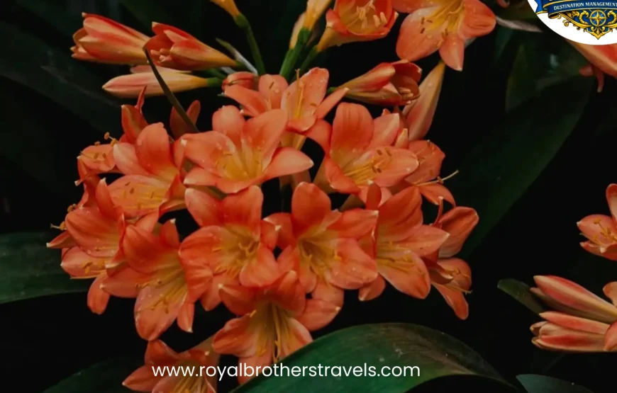 Best of Gangtok – Sikkim (3N / 4D)