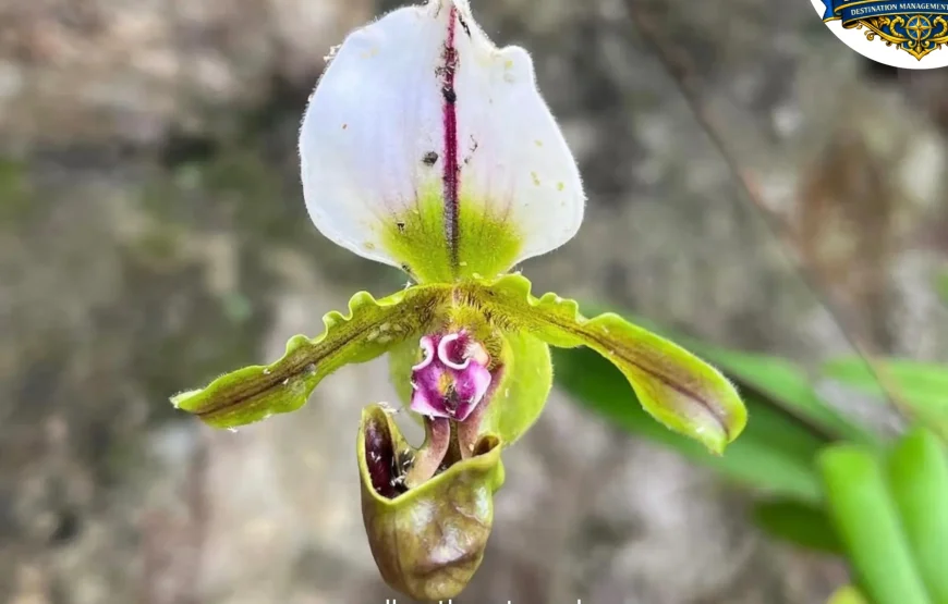 Best of Gangtok – Sikkim (3N / 4D)