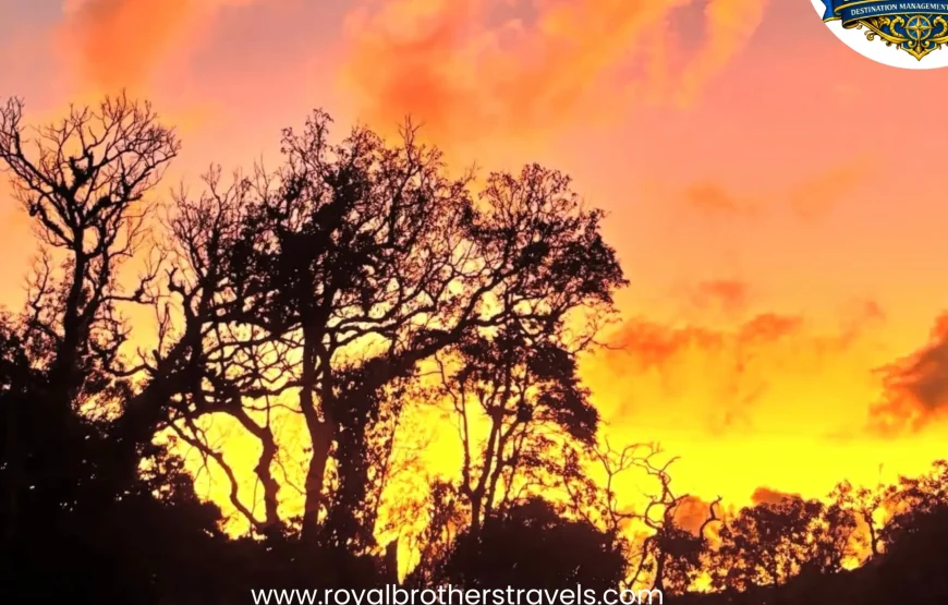 Best of Mizoram Tour (4 Nights / 5 Days)