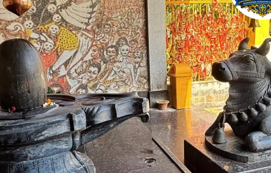 Best of Namchi – Ravangla (South Sikkim) | 1N / 2D