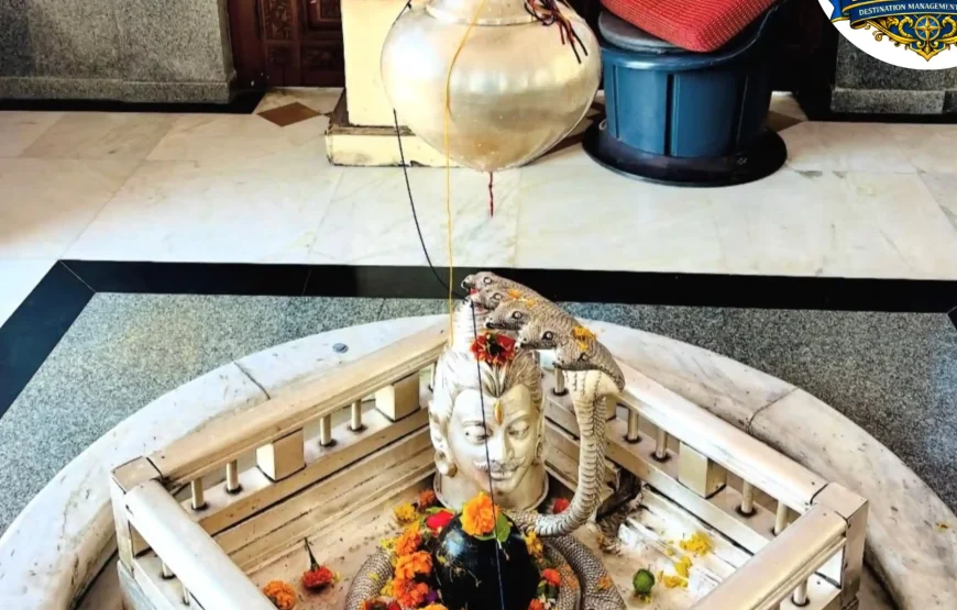 Best of Namchi – Ravangla (South Sikkim) | 1N / 2D