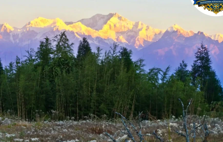 Best of Darjeeling Tour (2 Nights / 3 Days)