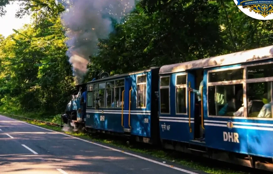 Best of Darjeeling Tour (2 Nights / 3 Days)