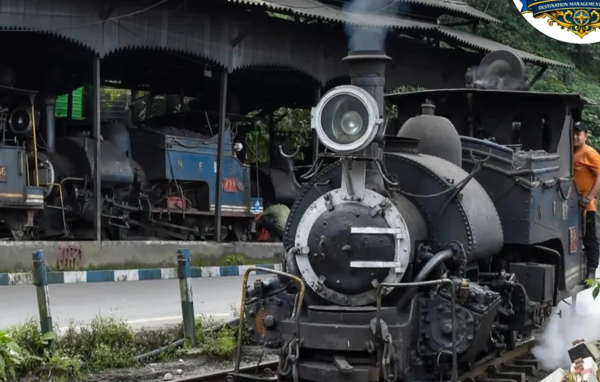 Best of Darjeeling Tour (2 Nights / 3 Days)