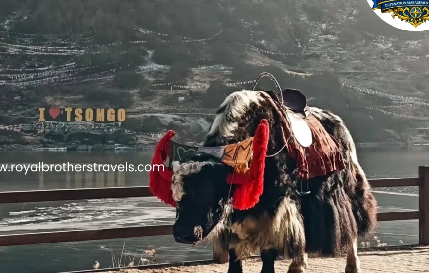 Best of Gangtok – Sikkim (3N / 4D)