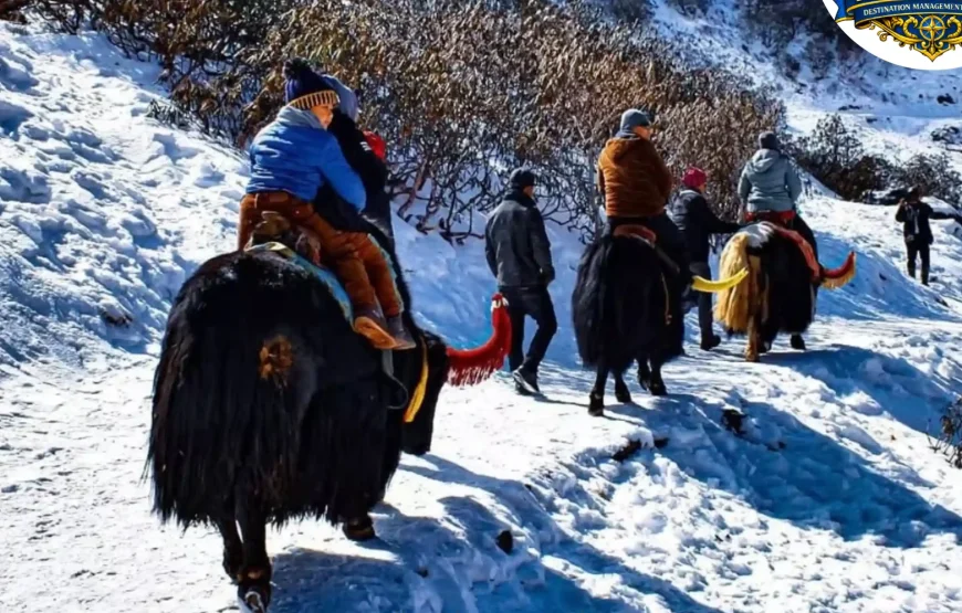 Best of Gangtok – Sikkim (3N / 4D)