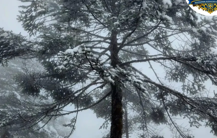 Best of North Sikkim Tour (5 Nights / 6 Days)