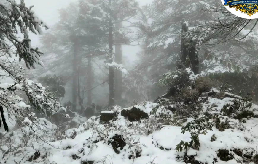 Best of Sikkim – 6 Nights / 7 Days