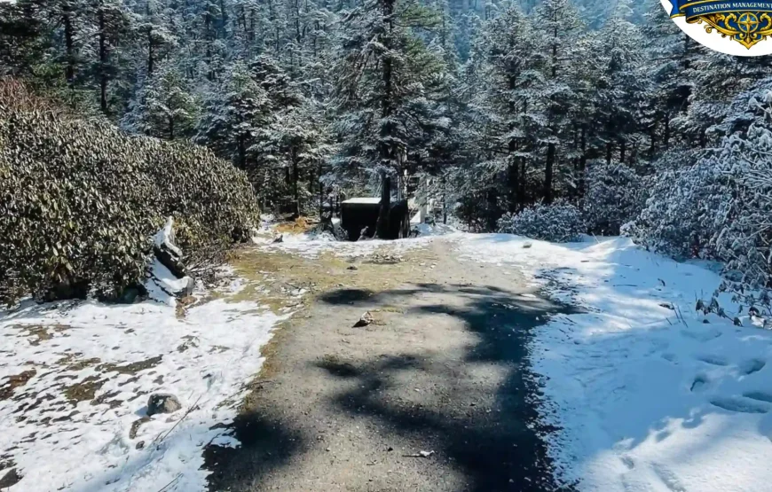 Best of Sikkim – 6 Nights / 7 Days