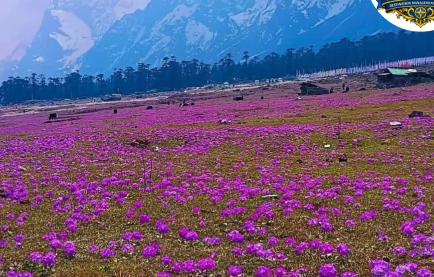 Best of Sikkim – 6 Nights / 7 Days