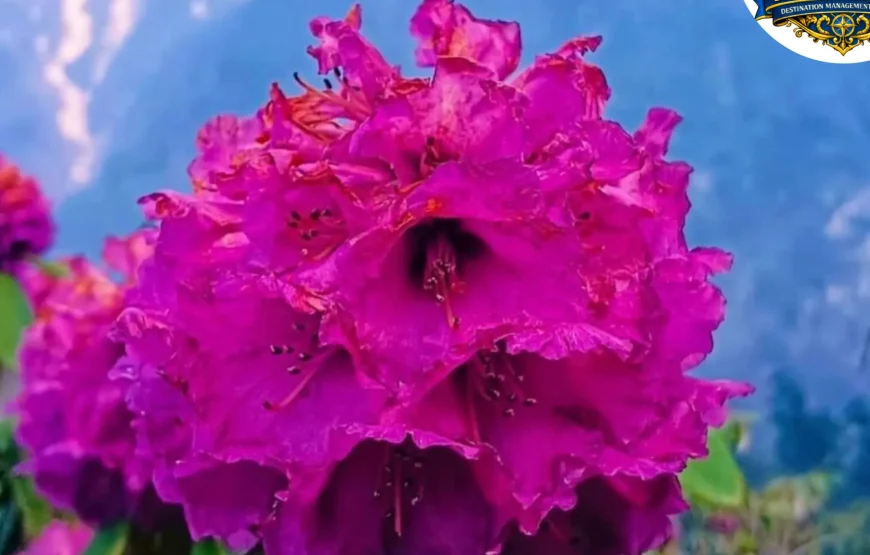 Best of Sikkim – 6 Nights / 7 Days