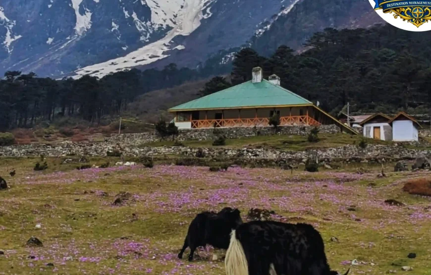 Best of North Sikkim Tour (5 Nights / 6 Days)