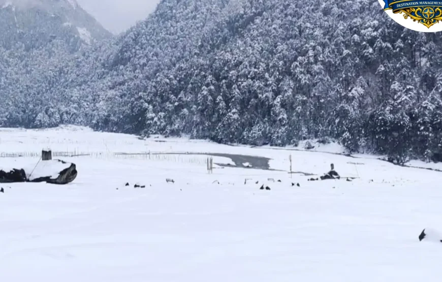 Best of North Sikkim Tour (5 Nights / 6 Days)