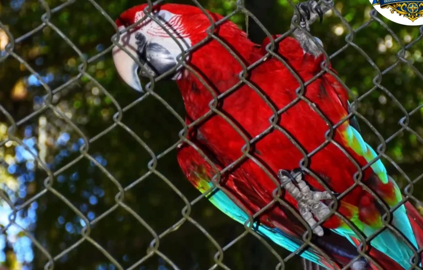 Best of Darjeeling Tour (2 Nights / 3 Days)