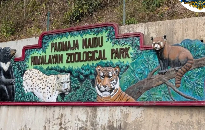 Best of Darjeeling Tour (2 Nights / 3 Days)